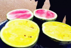 之前的吃瓜爆料叫什么,一场网络舆论的风暴