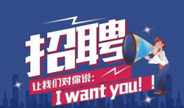 91招聘直播内蒙古,求职者的云端招聘盛宴