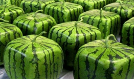 爆料中国吃瓜视频大全,热门事件背后的娱乐狂欢